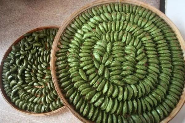 接下来,浙江人餐桌上将集体出现……网友:太真实了! 接下来,浙江人餐桌上将集体出现……网友:太真实了!