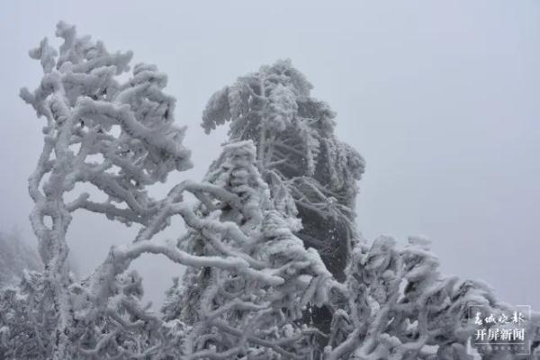 阳春三月,云南这里现罕见雾凇美景 阳春三月,云南这里现罕见雾凇美景