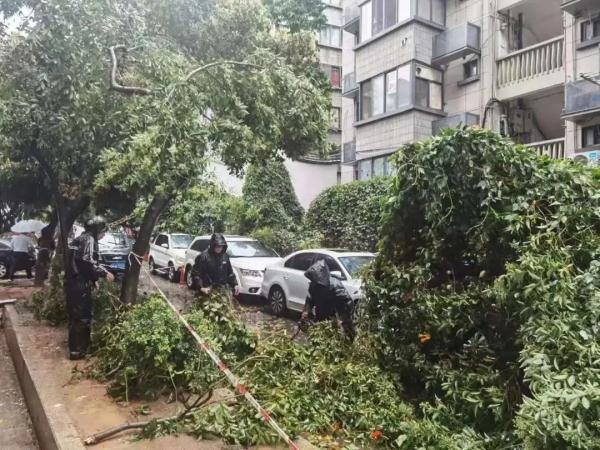 今天，福州破纪录！这群人奔向暴风骤雨……