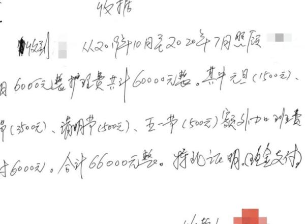弟弟突发重病，姐姐照顾四年，弟媳却要起诉返还20万元，法院怎么判？