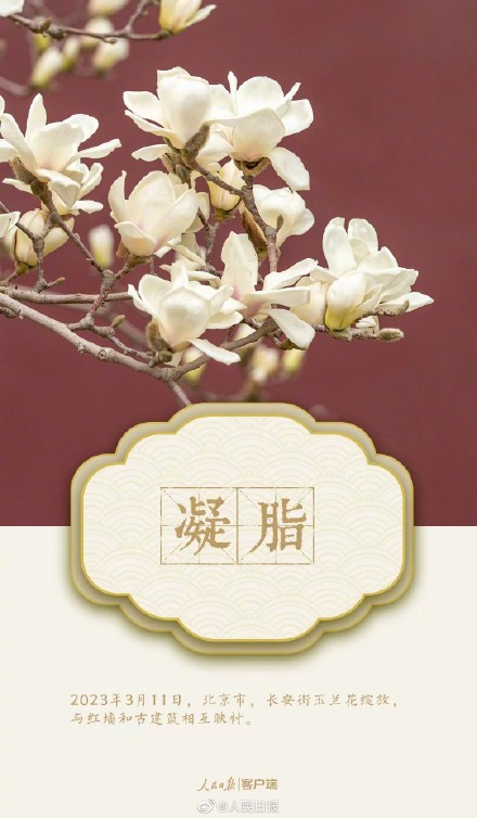 收藏美图！用中国传统色打开春天