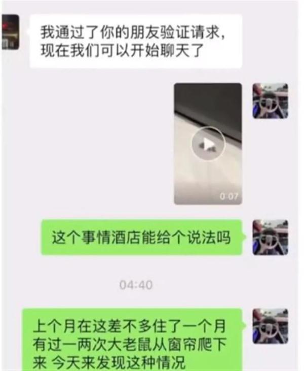 酒店枕头下发现……住客被恶心到睡不着 酒店枕头下发现……住客被恶心到睡不着