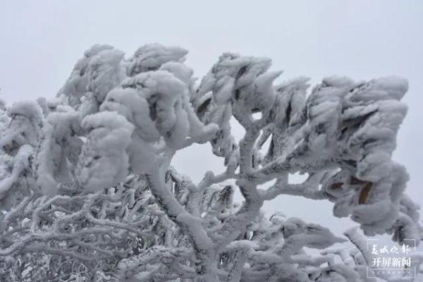 阳春三月,云南这里现罕见雾凇美景 阳春三月,云南这里现罕见雾凇美景