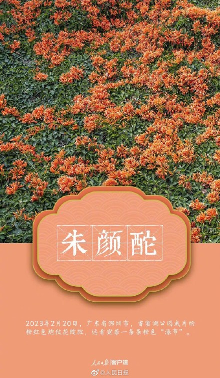 收藏美图！用中国传统色打开春天