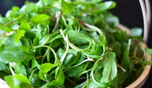 接下来,浙江人餐桌上将集体出现……网友:太真实了! 接下来,浙江人餐桌上将集体出现……网友:太真实了!