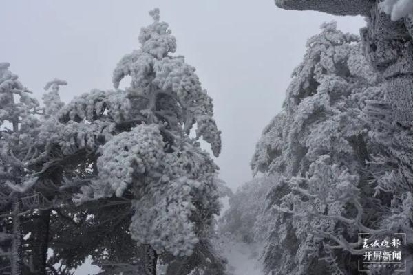 阳春三月,云南这里现罕见雾凇美景 阳春三月,云南这里现罕见雾凇美景