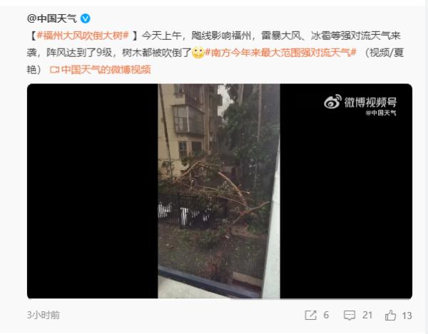 今天，福州破纪录！这群人奔向暴风骤雨……
