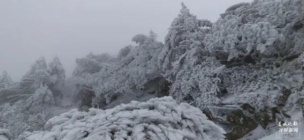 阳春三月,云南这里现罕见雾凇美景 阳春三月,云南这里现罕见雾凇美景
