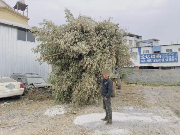 为贴合自己“身份”,男子竟将货车“改”成拖拉机! 为贴合自己“身份”,男子竟将货车“改”成拖拉机!