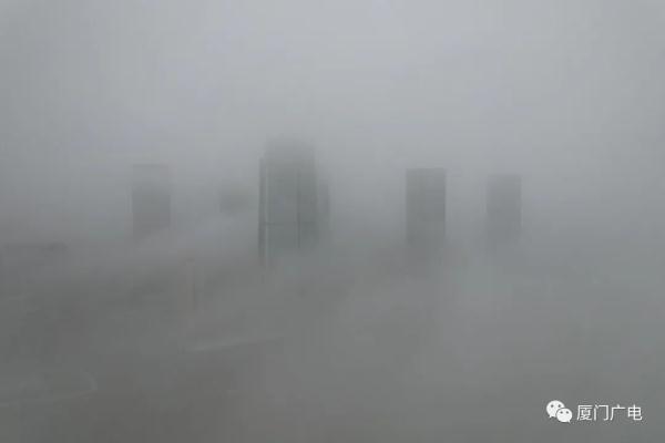 大雾预警！厦门开启“蒸笼”模式！大反转又要来了