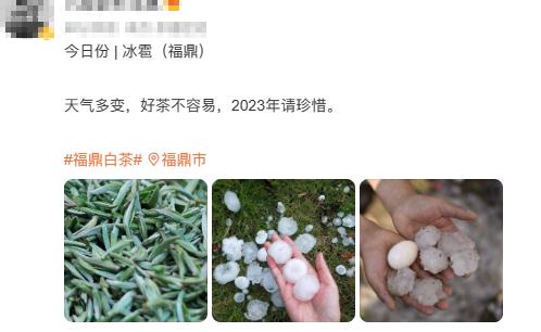 一秒天黑！福州暴雨！这里还下起冰雹！