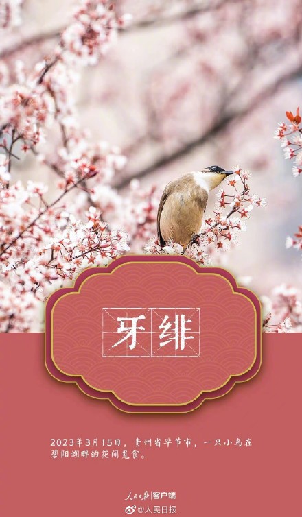 收藏美图！用中国传统色打开春天