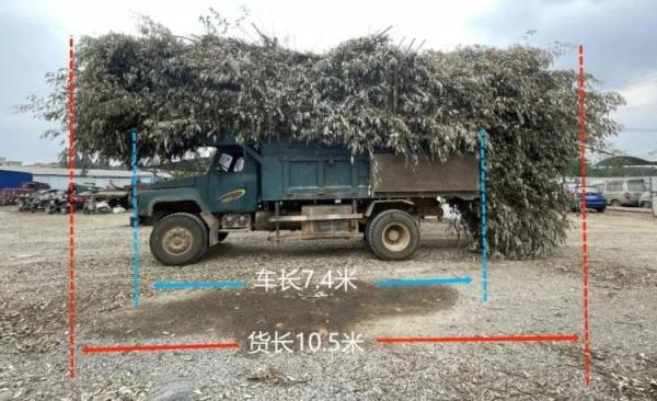 为贴合自己“身份”,男子竟将货车“改”成拖拉机! 为贴合自己“身份”,男子竟将货车“改”成拖拉机!