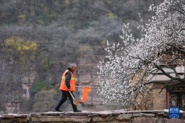 河南林州:“画家村”描绘乡村振兴新画卷 河南林州:“画家村”描绘乡村振兴新画卷