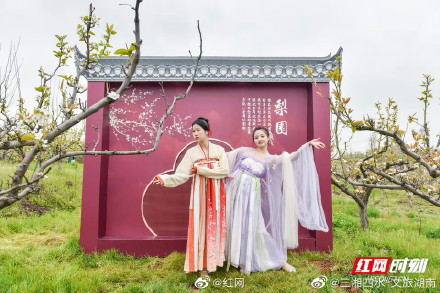 湖南衡阳：茶山坳千亩梨花迎来最佳观赏期