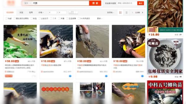 无序“放生”成“放害” 水域外来物种入侵需警惕