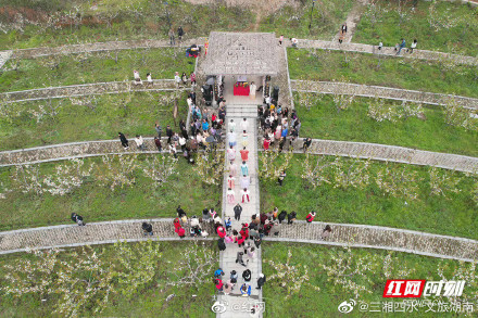 湖南衡阳：茶山坳千亩梨花迎来最佳观赏期