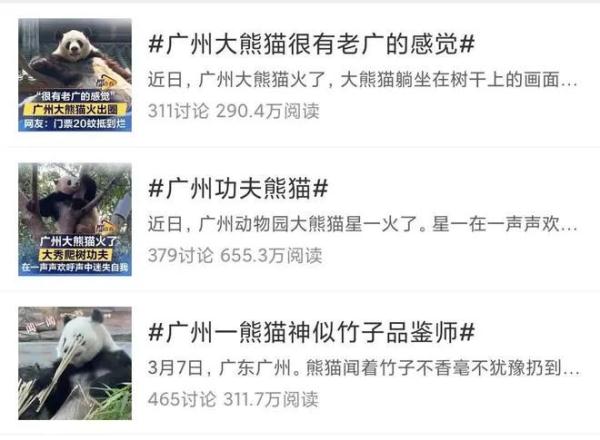 围观!广州动物园里“戏精”多 围观!广州动物园里“戏精”多