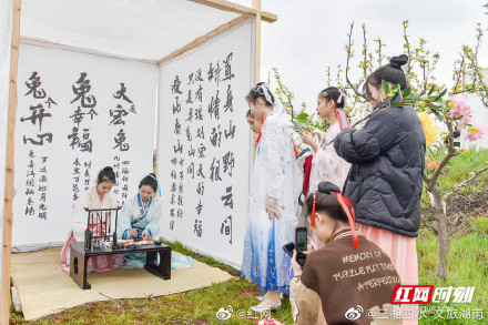 湖南衡阳：茶山坳千亩梨花迎来最佳观赏期