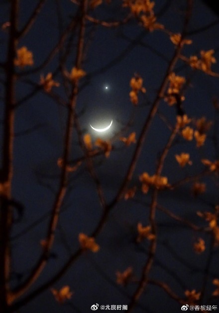 太美了吧！今晚，被月亮星星浪漫到了