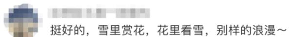 雨雨雨+霜冻+桃花雪！“忽冷忽热”是为啥？