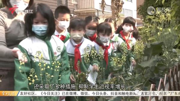 广州小学生平均近视率超五成