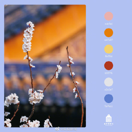 好美！春日故宫配色高级又浪漫