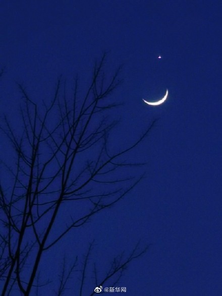 月掩金星你拍到了吗？