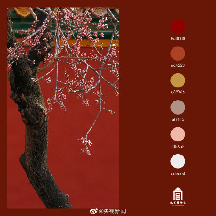 好美！春日故宫配色高级又浪漫