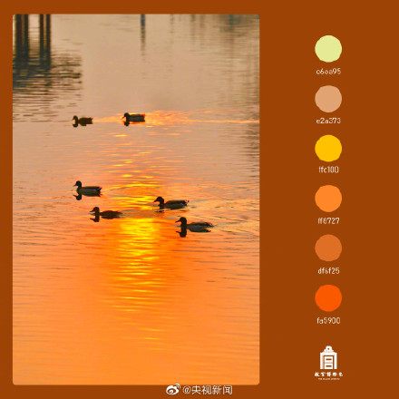 好美！春日故宫配色高级又浪漫