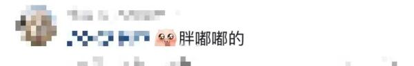 华北豹频现驼梁！网友：吃得挺胖