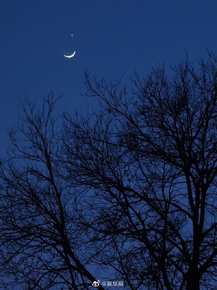 月掩金星你拍到了吗？