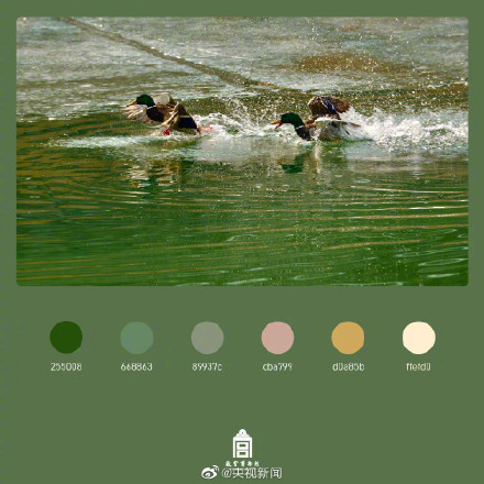 好美！春日故宫配色高级又浪漫