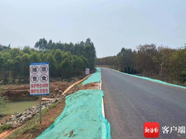 为了一群青蛙，他们多花30万元修了一条通道……