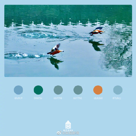 好美！春日故宫配色高级又浪漫