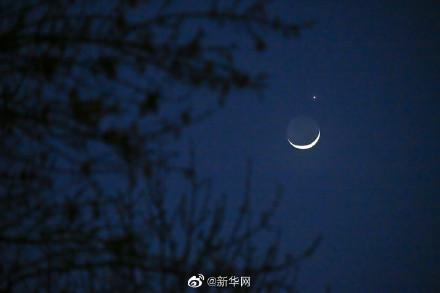 月掩金星你拍到了吗？