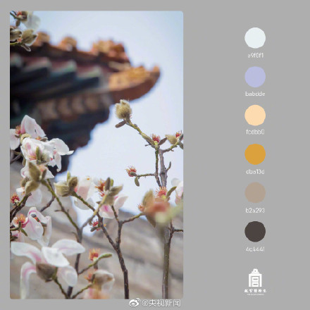 好美！春日故宫配色高级又浪漫