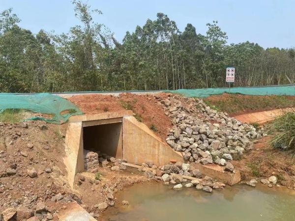 为了一群青蛙，他们多花30万元修了一条通道……