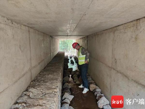 为了一群青蛙，他们多花30万元修了一条通道……