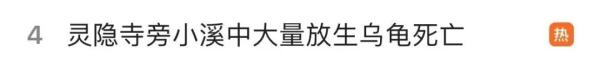 杭州一景区现大量死亡乌龟！“行善”还是“作恶”？