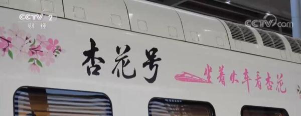 坐着火车看杏花 新疆托克逊9万亩杏花迎来盛花期