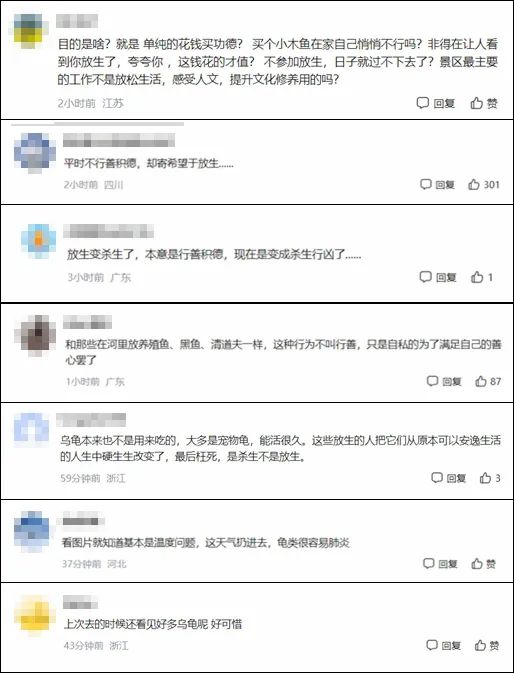 杭州一景区现大量死亡乌龟！“行善”还是“作恶”？