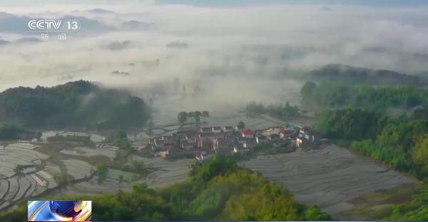 财政部部长重磅发声！