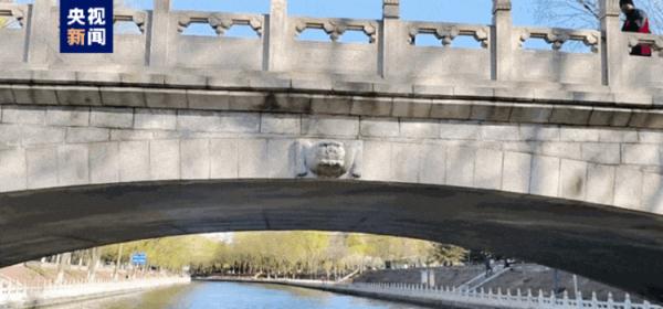 春日踏青好时节 北京这些水路航线值得一去