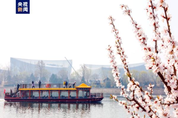 春日踏青好时节 北京这些水路航线值得一去