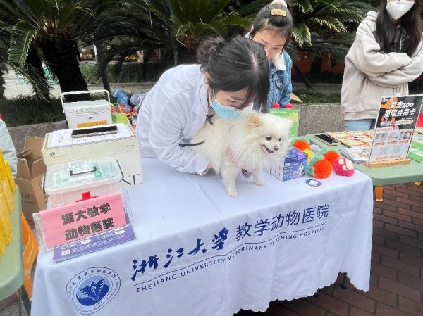 杭州海天社区建立“动物居民委员会” 专管社区里与动物有关的事情 杭州海天社区建立“动物居民委员会” 专管社区里与动物有关的事情