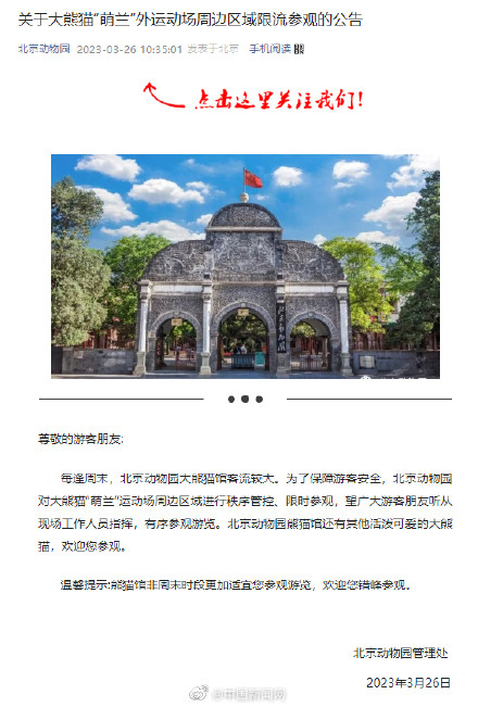 北动大熊猫萌兰外场限流