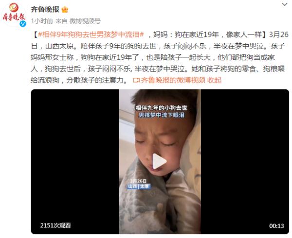 相伴9年狗狗去世男孩梦中流泪，妈妈：狗在家近19年，像家人一样