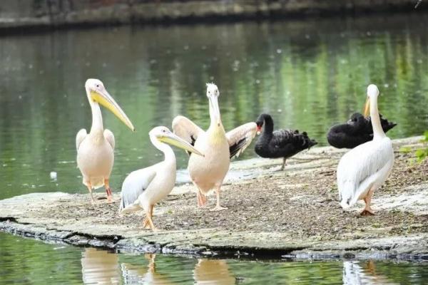 万“物”复苏春“萌”动