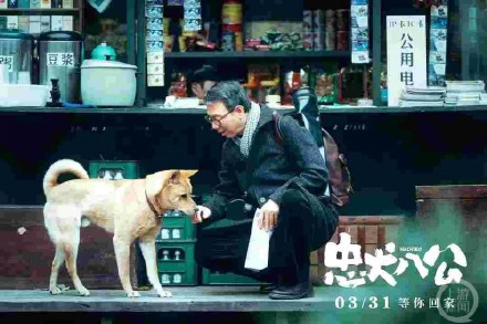 冯小刚新片《忠犬八公》来渝举办携宠观影会:全程重庆取景,主演“大黄”也来了 冯小刚新片《忠犬八公》来渝举办携宠观影会:全程重庆取景,主演“大黄”也来了